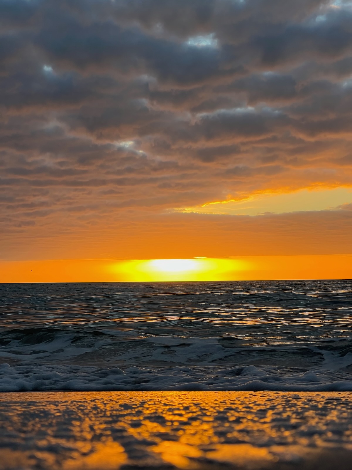 gallery-photo